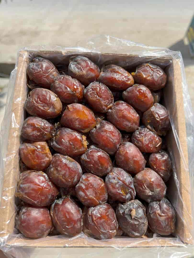 خرما کبکاب کارتونی انتخابی کاربردی برای پخش سراسری